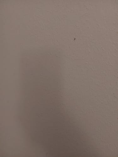 Customer photo review of Kennzeichen Schlüsselanhänger Mini Nummernschild Metall