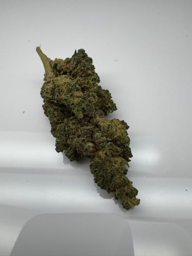Customer photo review of Amnesia Haze PHC