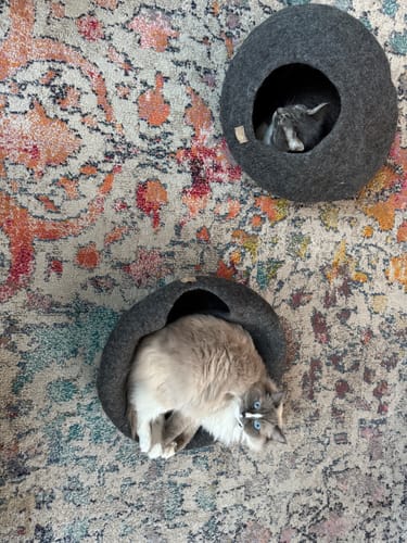 Customer photo review of Premium Kattenhol