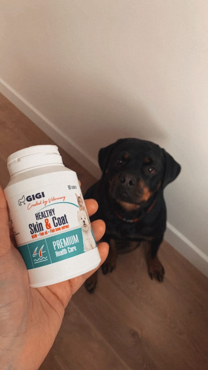 Customer photo review of PERFECT Skin & Coat | Premium Pet Supplement
