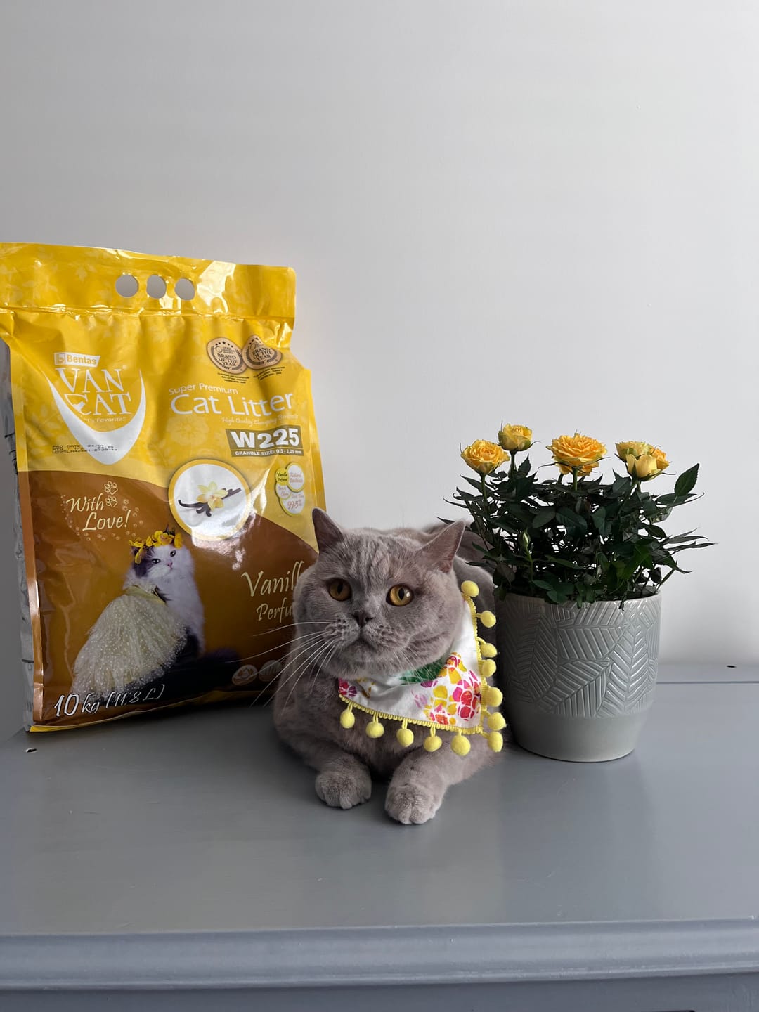 Customer photo review of W225 Scented Range - 10KG