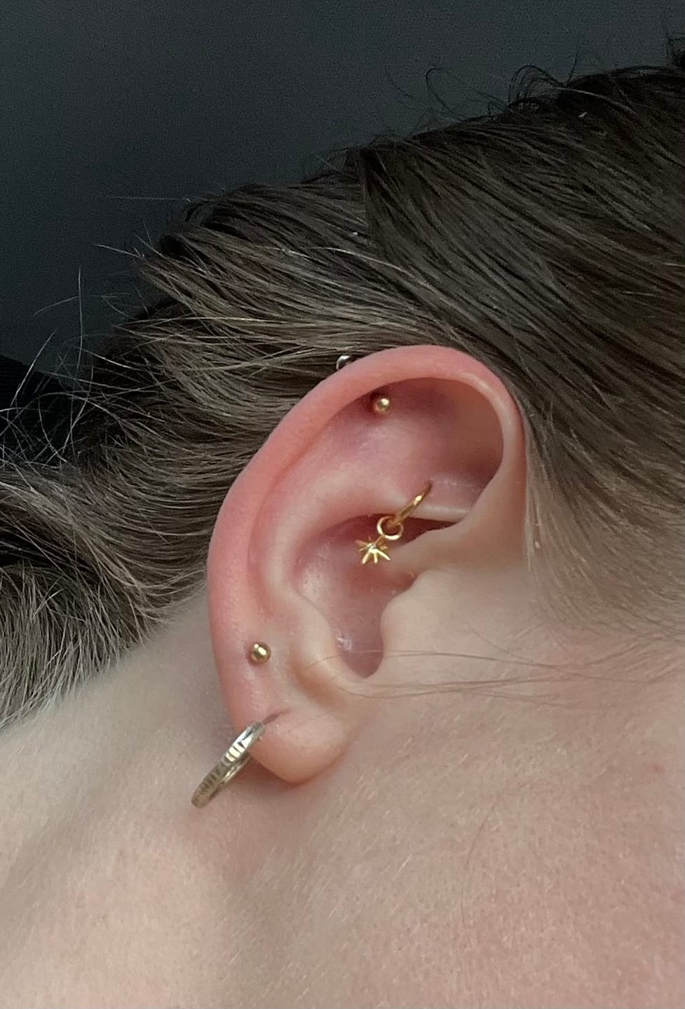 Customer photo review of VENUS North Star Rook Hoop