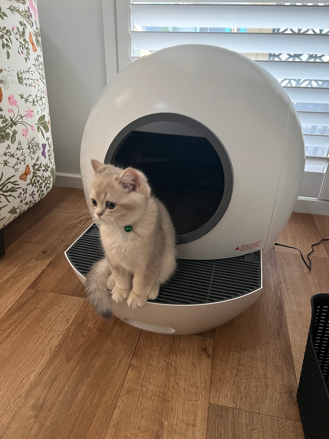 Customer photo review of PaWz Automatic Smart Cat Litter Box Self-Cleaning