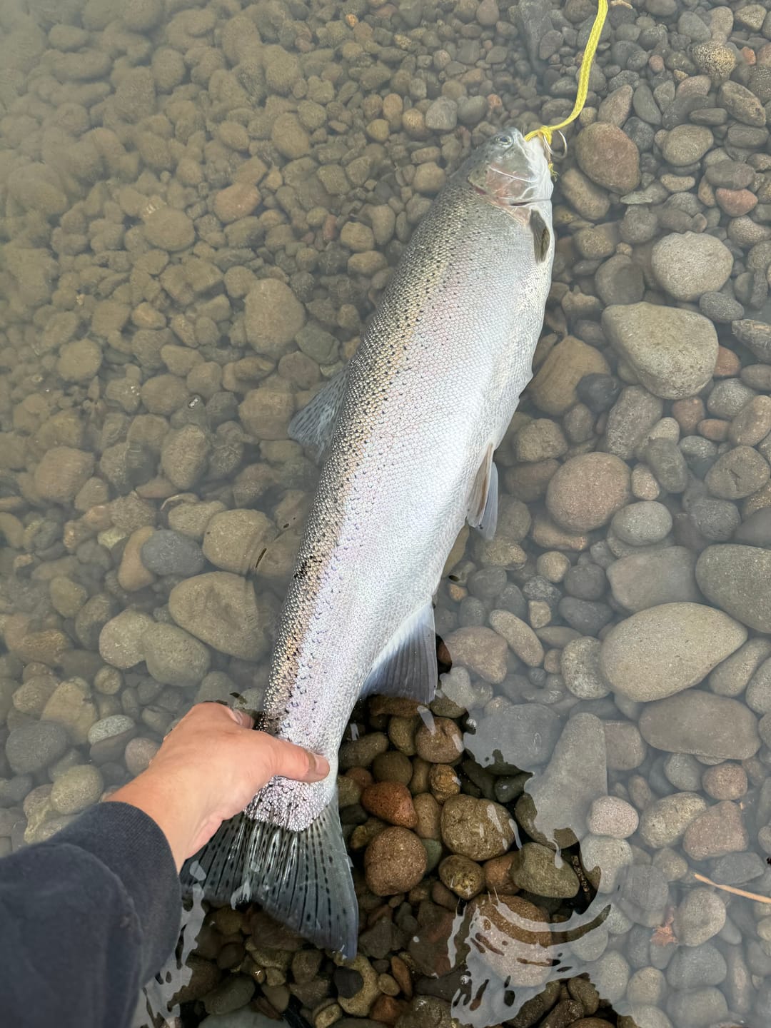 Customer photo review of Stealth STX Floats