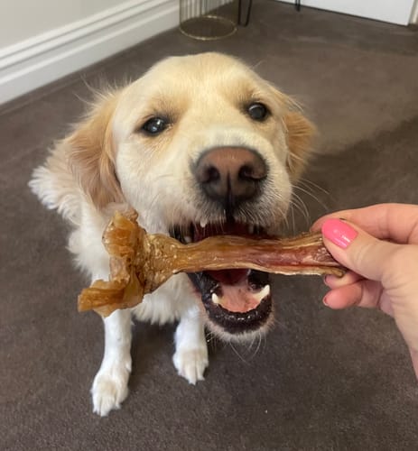 Customer photo review of Beef Achilles Tendon