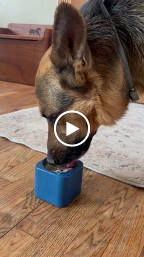 Customer video review of Freezbox - Super Tough Treat Toy