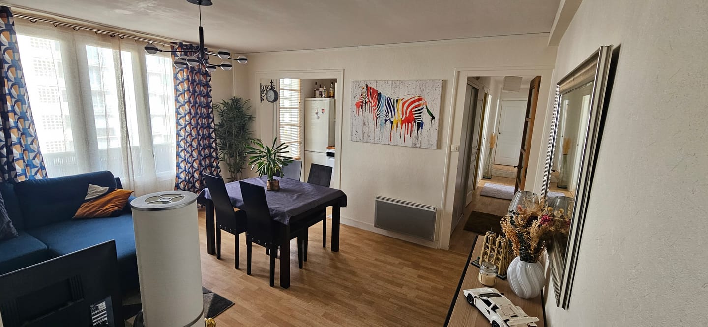 Customer photo review of Tableau Urbain Zèbre Coloré