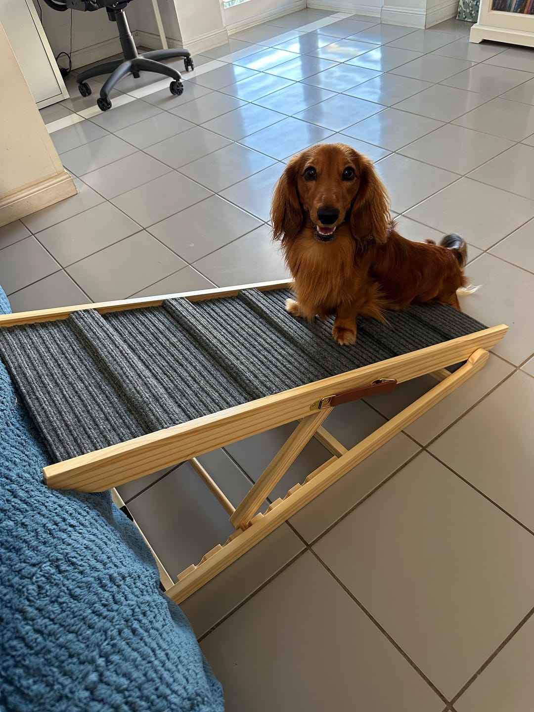 Customer photo review of Pawz Premium Wood Adjustable Height Pet Ramp Stair
