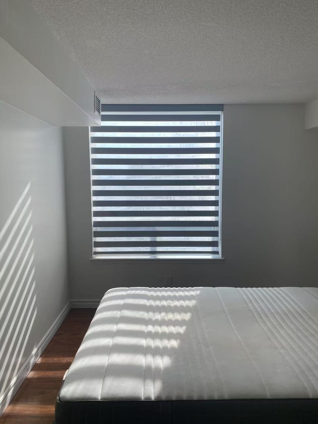 Customer photo review of Room Darkening Zebra Shades