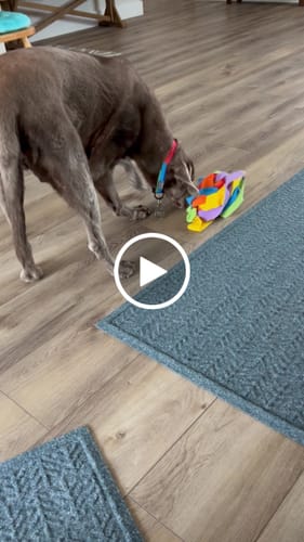 Customer video review of Sniffle