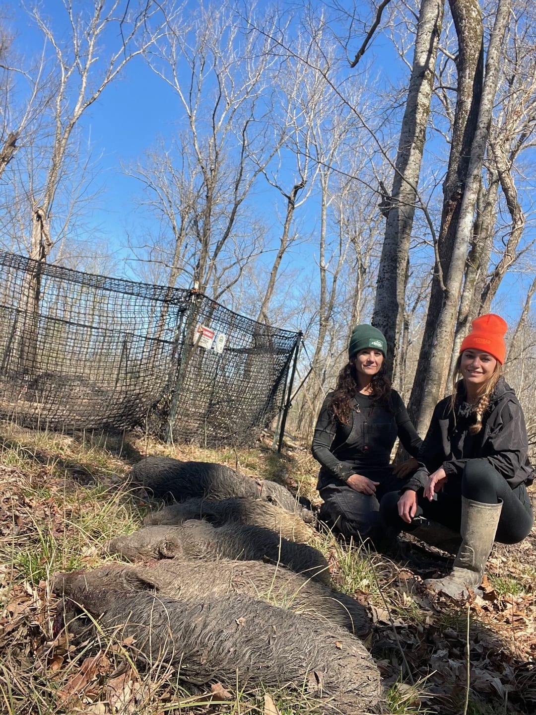 Customer photo review of Pig Brig Trap System
