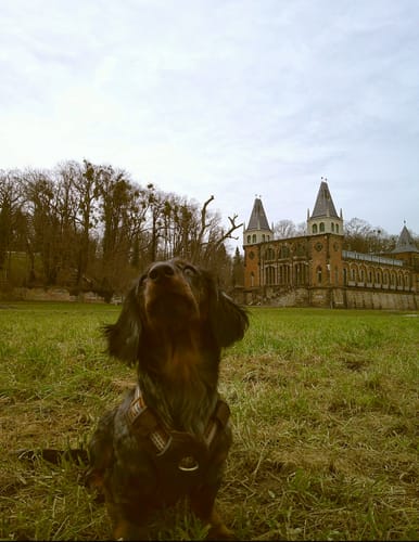 Customer photo review of NUVINT - Digitalkamera