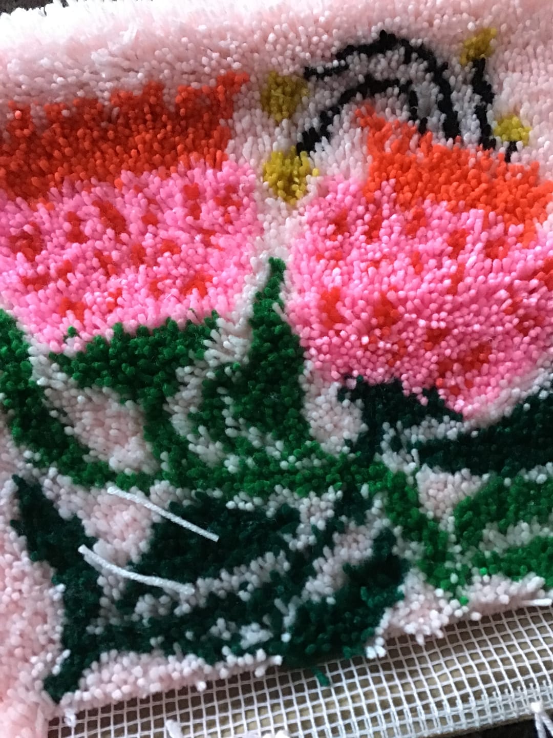 Customer photo review of Sugarbush Latch Hook Cushion Kit