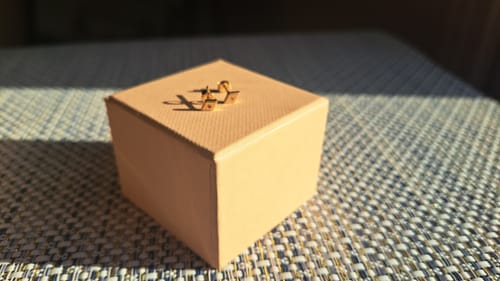 Customer photo review of Treasure Stud - 14 Karat Gold