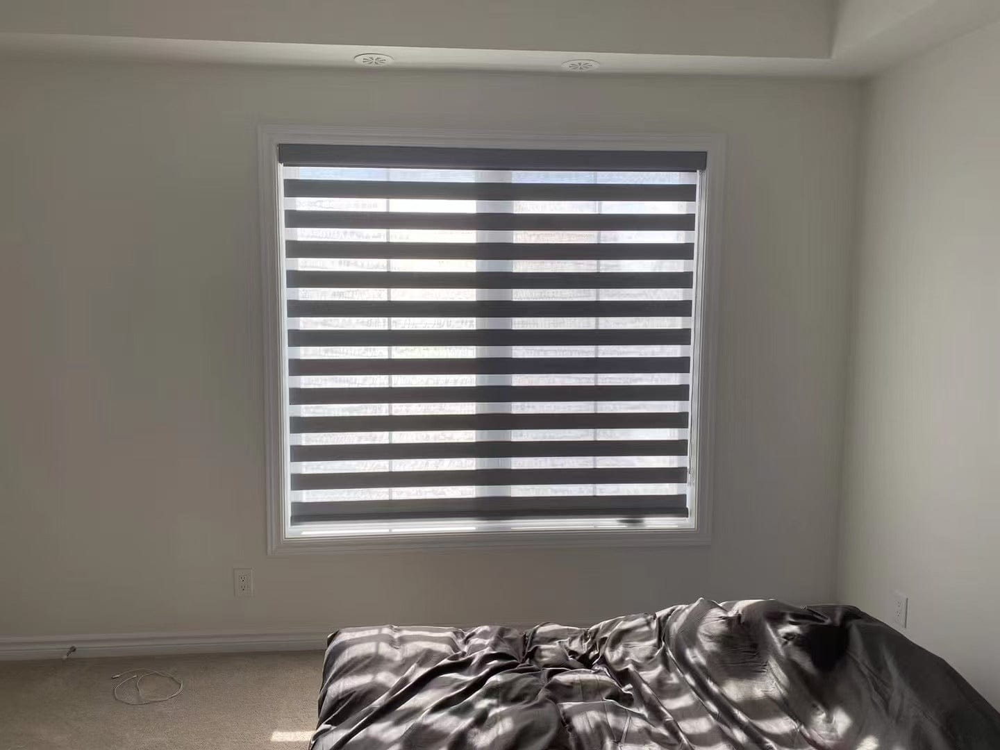 Customer photo review of Room Darkening Zebra Shades