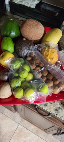 Customer photo review of Tropical Variety Box