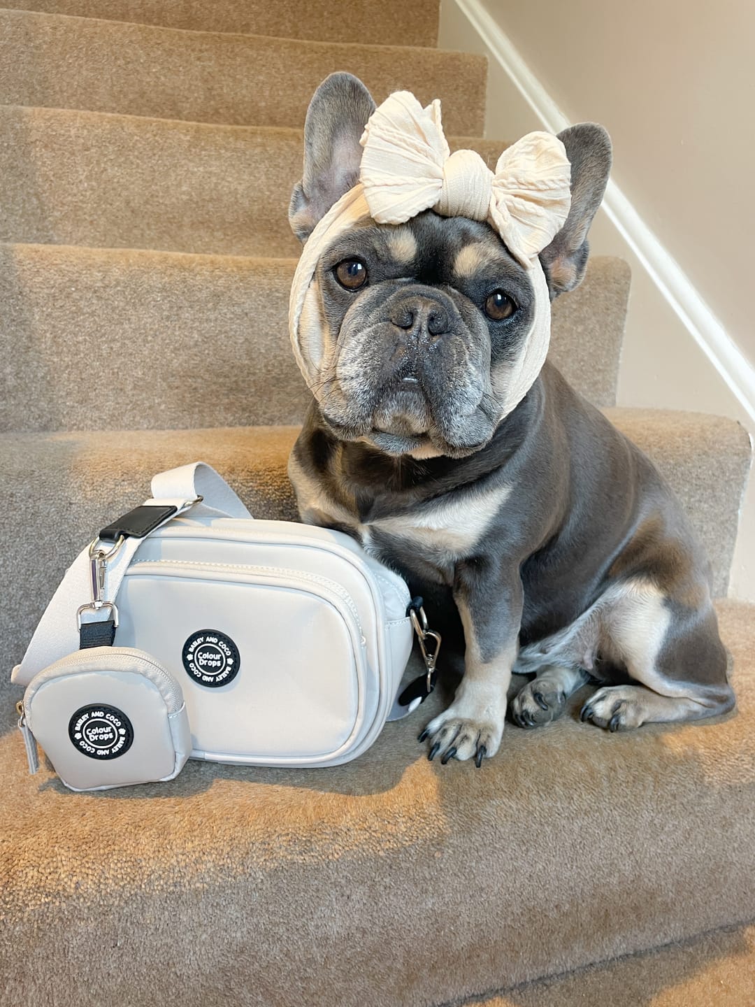 Customer photo review of Dog Walking Bag - Latte with Latte Strap