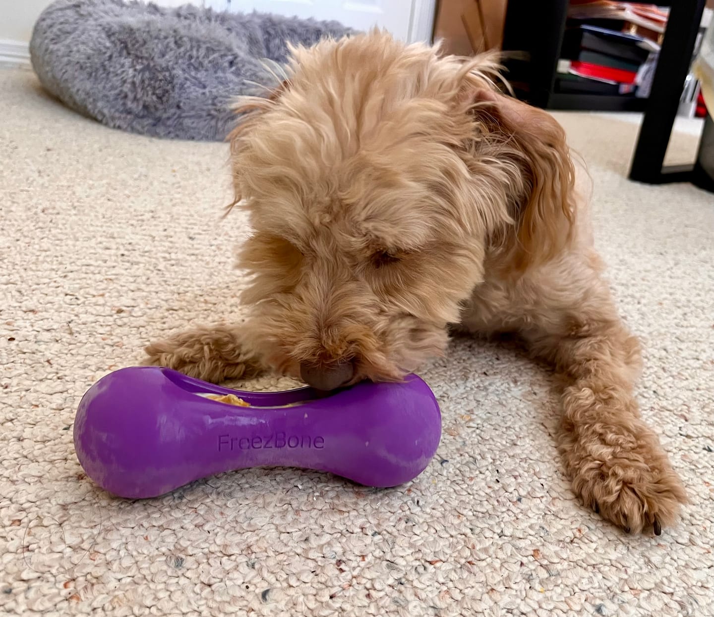 Customer photo review of Freezstick - Indestructible Enrichment Chew