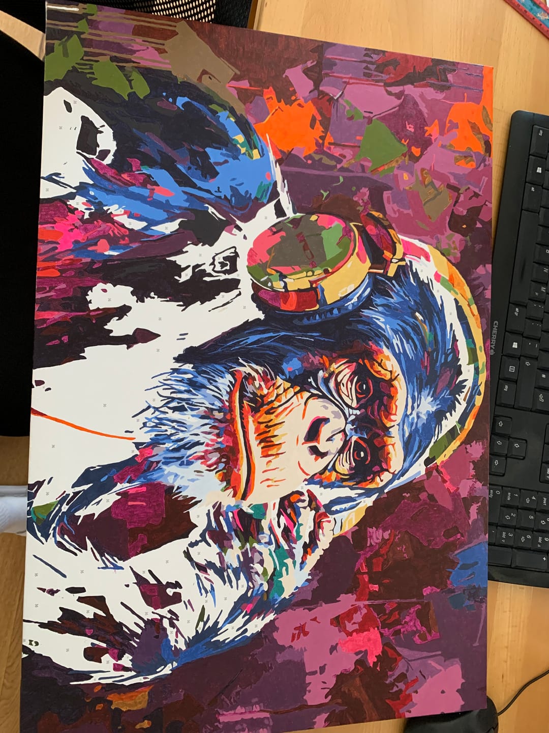 Customer photo review of Malen nach Zahlen - Musical Monkey - Premium Painting