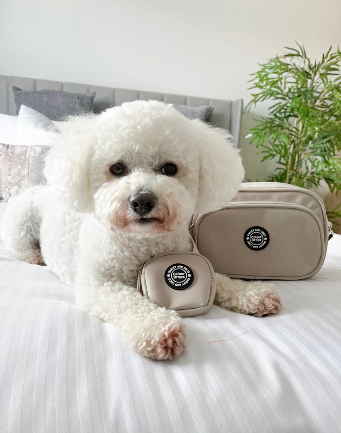 Customer photo review of Dog Walking Bag - Latte with Latte Strap