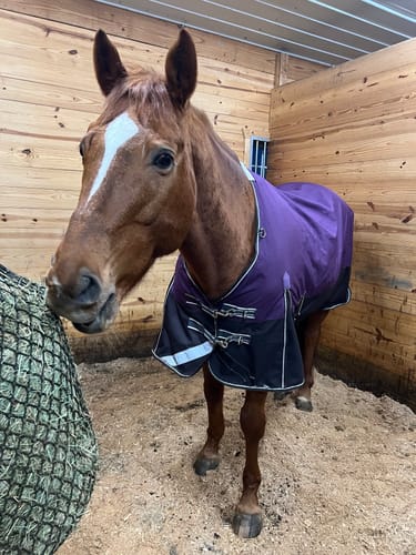 Customer photo review of Hay Chix® Half Bale Net