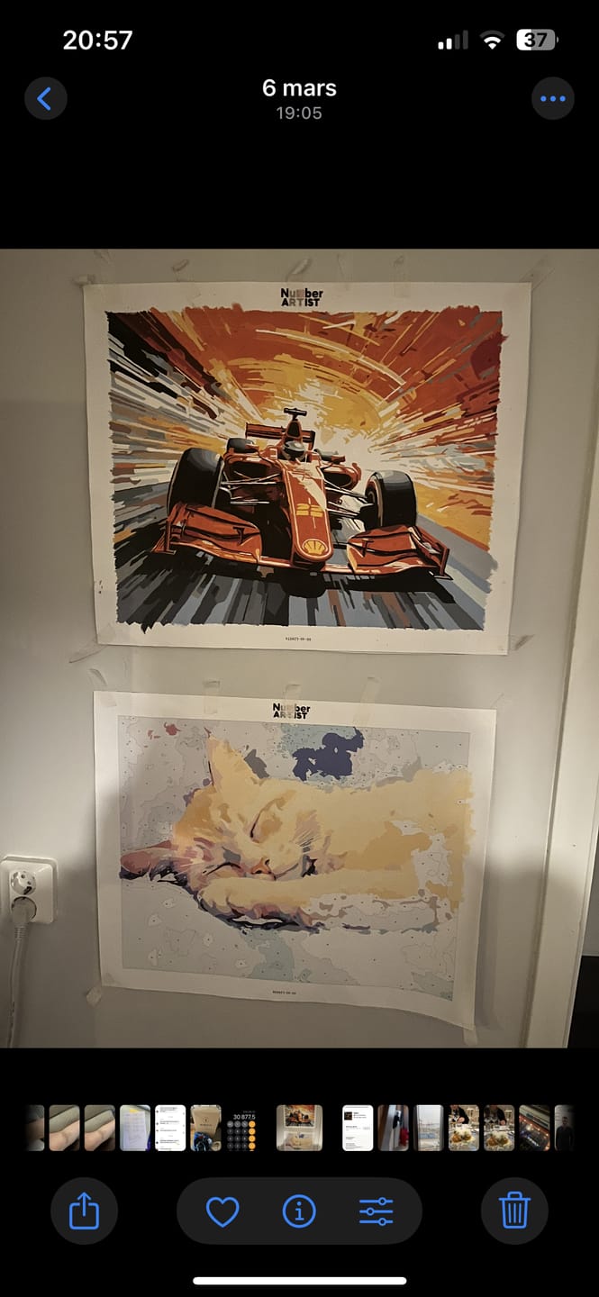Customer photo review of Ferrari Formula
