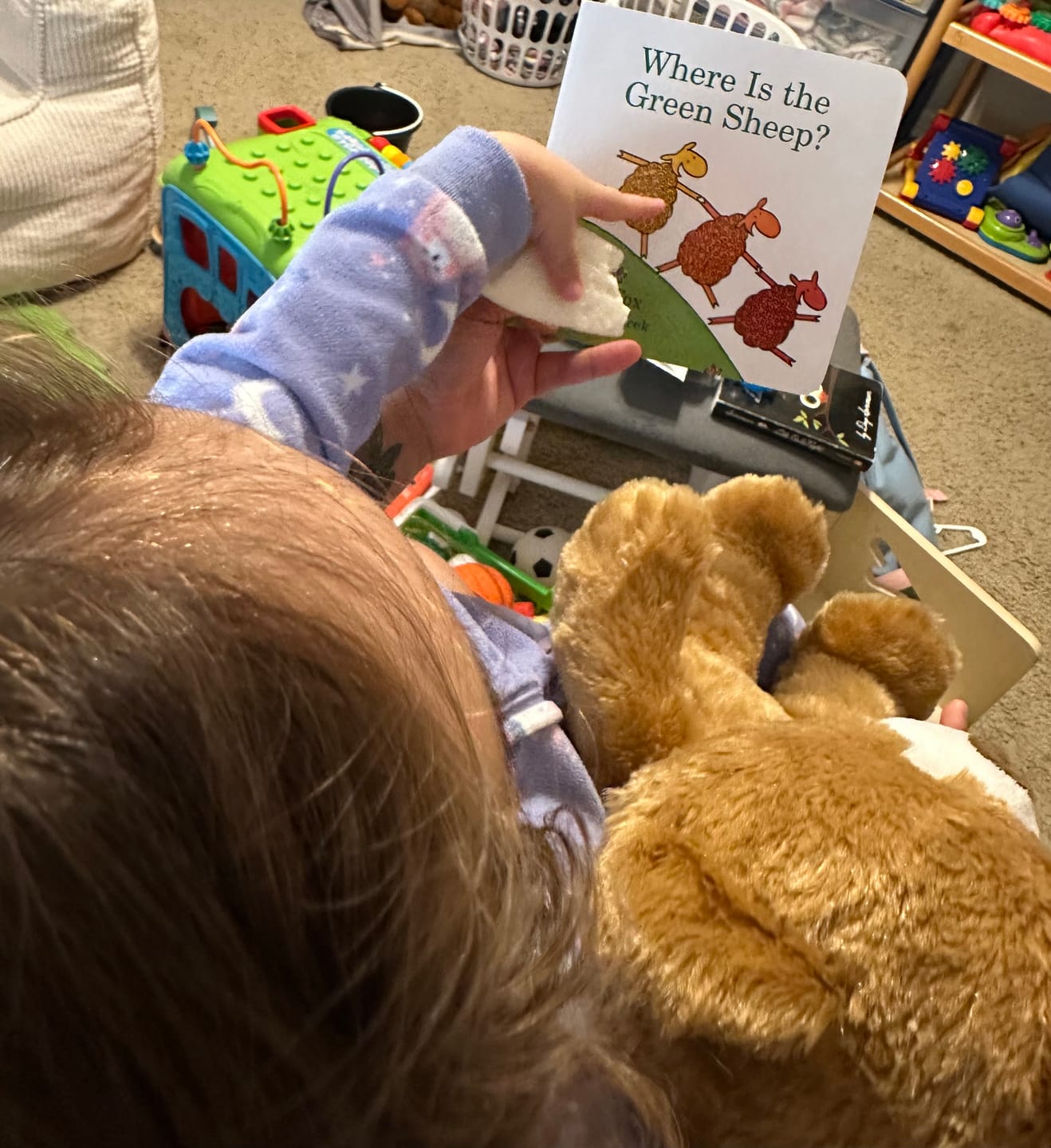 Customer photo review of Little Book League Box