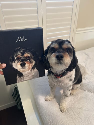 Customer photo review of Pet Art Canvas Wrap