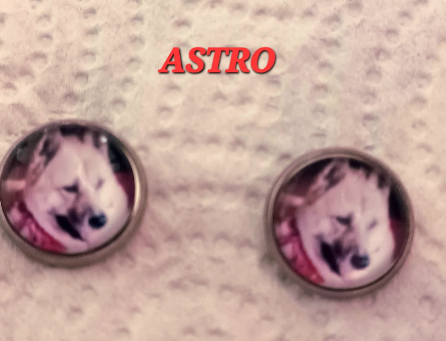 Customer photo review of Live Customization Glass Pet Stud Earrings