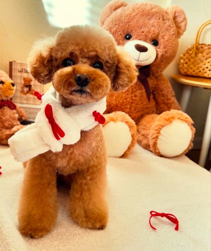 Customer photo review of FunFunPet カスタマイズペットチャーム