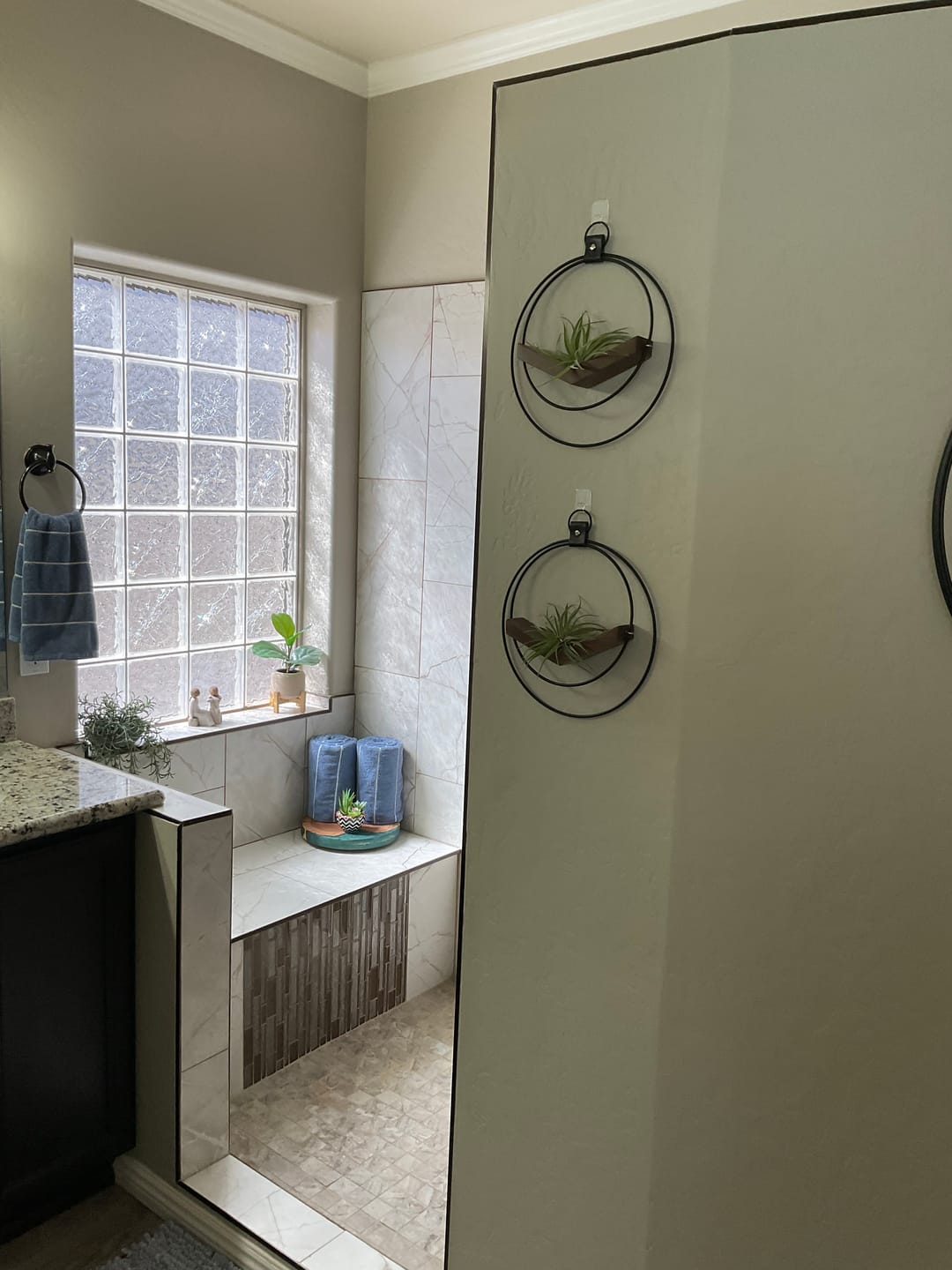 Customer photo review of Air Plant V-Hanger Duo