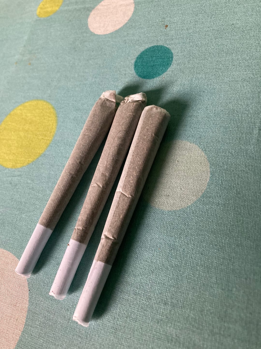 Customer photo review of 🪙 Super Silver Haze 10HC Prerolls - POWER LVL: 4/5