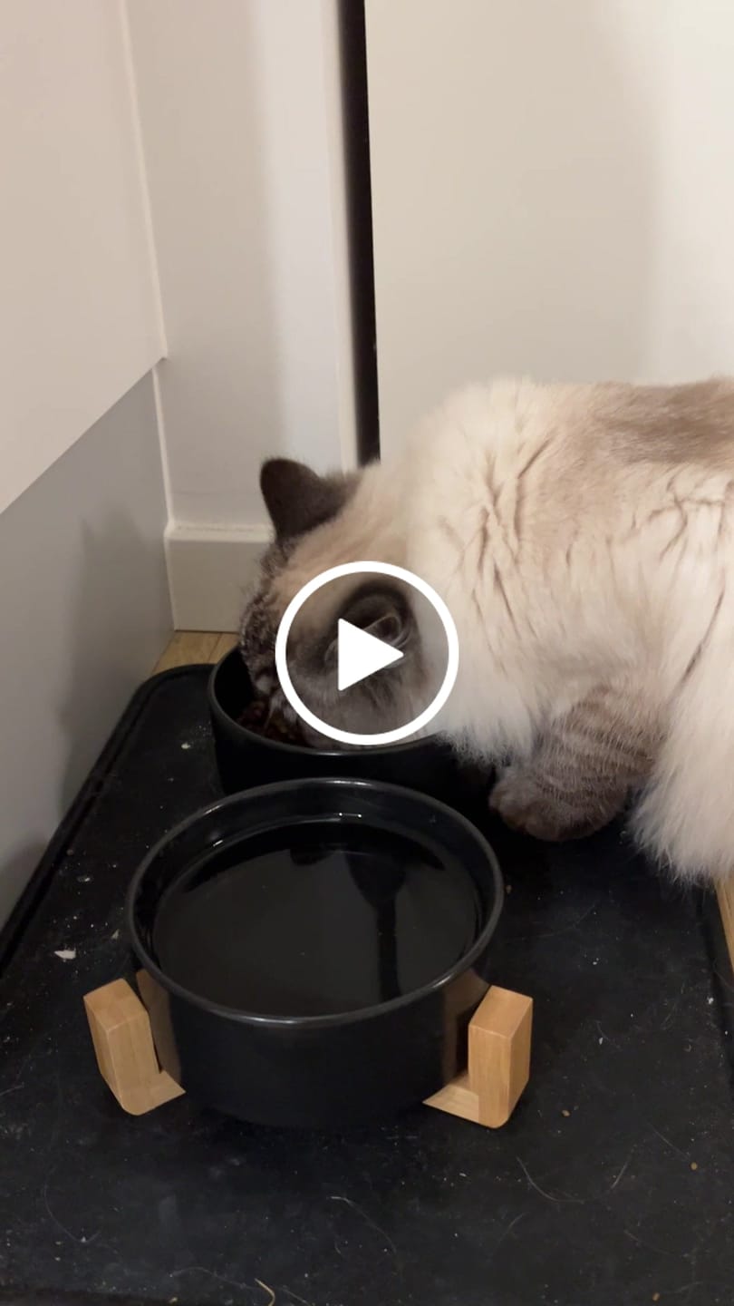 Customer video review of Keramisk Skålsæt m. Træstativ - Sort