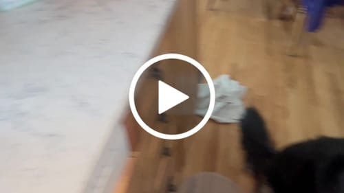 Customer video review of FreezPaw Mat -  Calming Slow Feeder