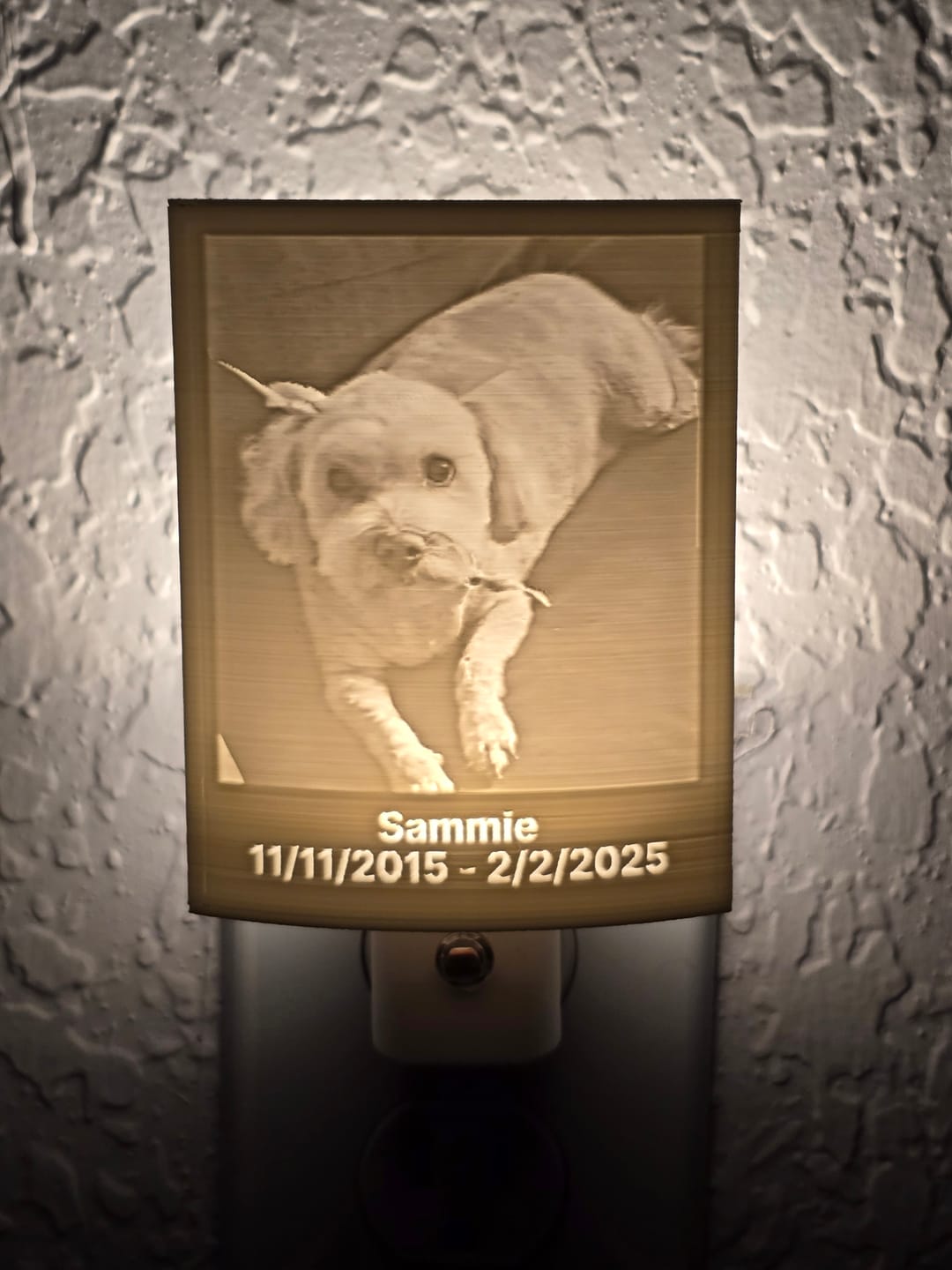 Customer photo review of Memory Frame™ Personalized Night Light