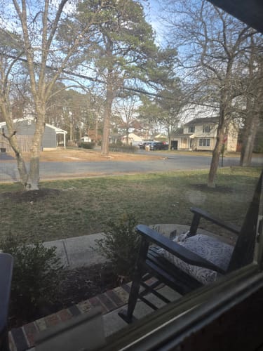 Customer photo review of GCI Turf Type Tall fescue Grass Seed