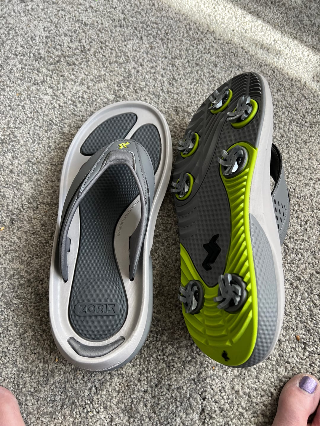 Customer photo review of ZORIZ Zoomy