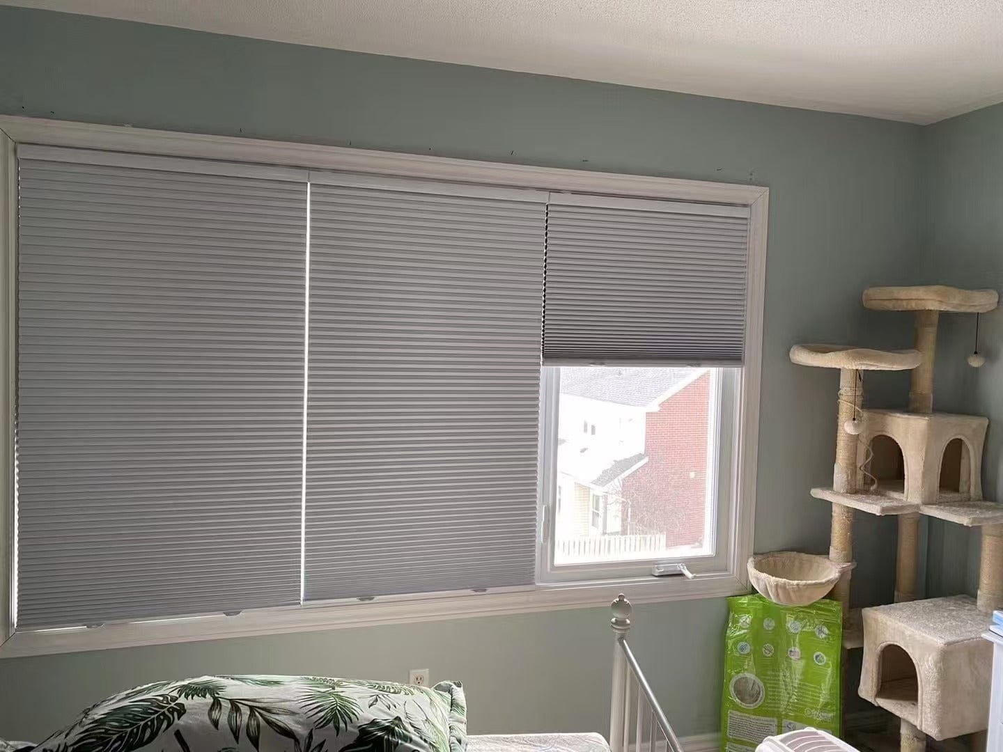 Customer photo review of Cordless Blackout Cellular Shades