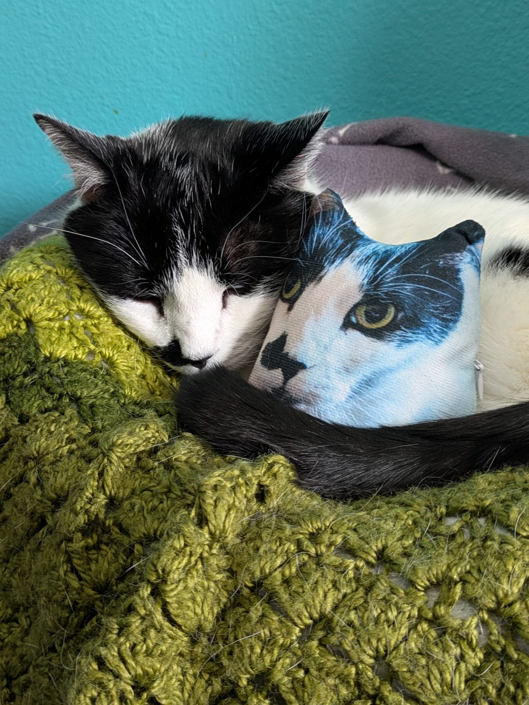 Customer photo review of Custom Pet Pillow