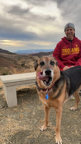 Customer photo review of Petsmont Buddy Guard Medium Dog