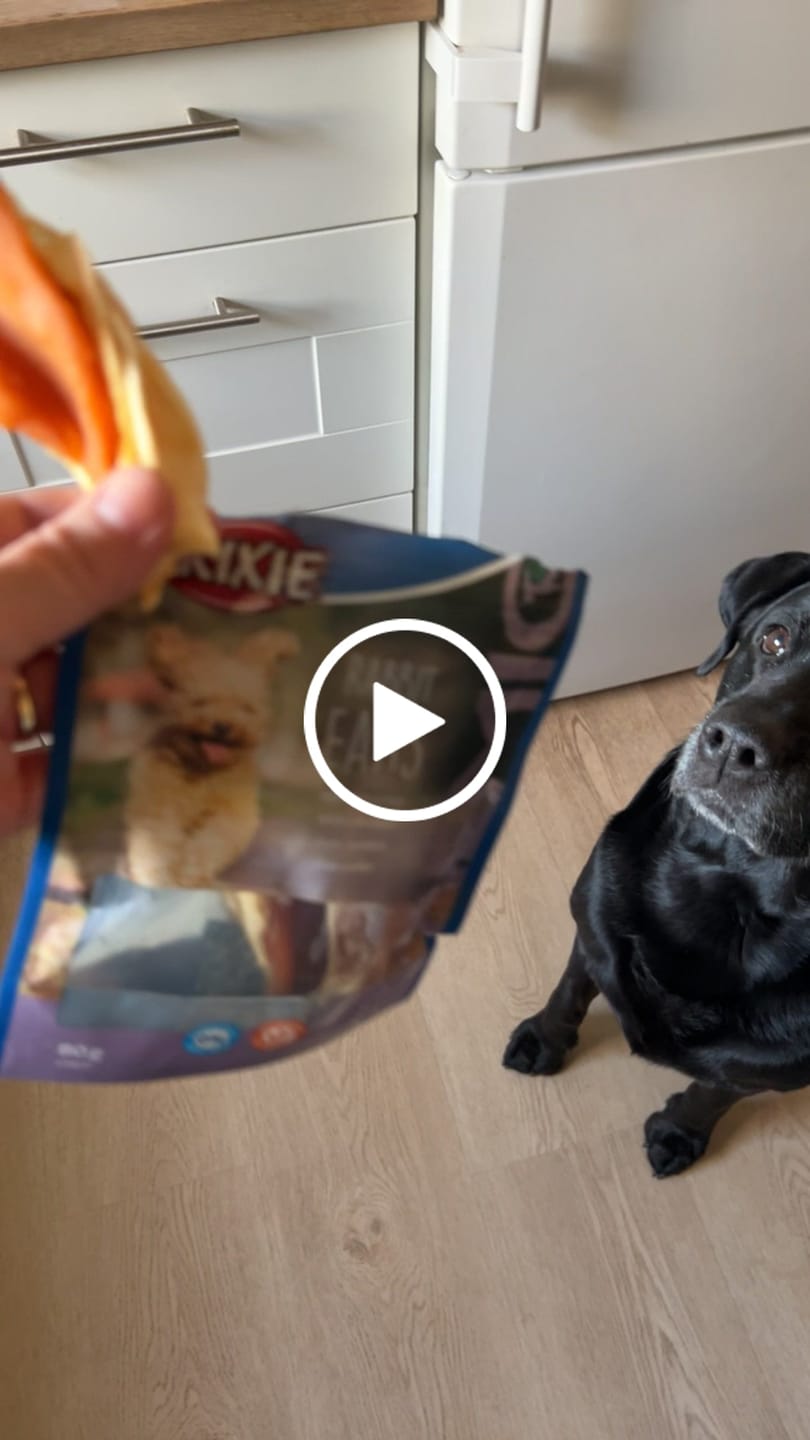 Customer video review of Trixie Premio - Kaninører