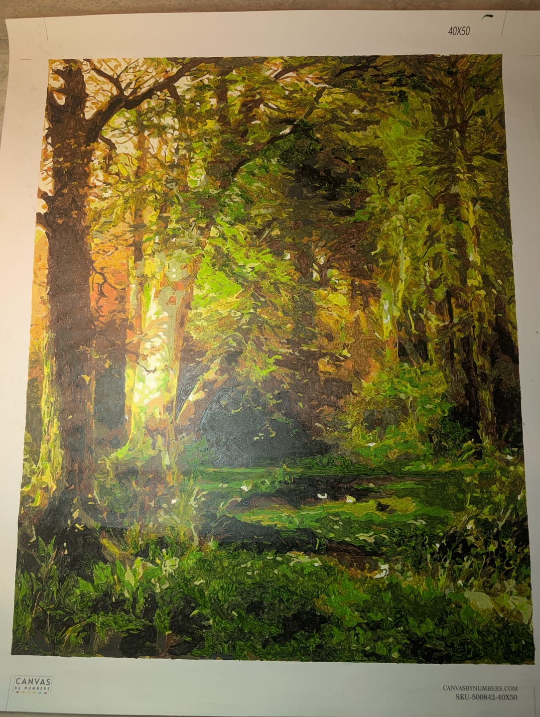 Customer photo review of Forest Scene