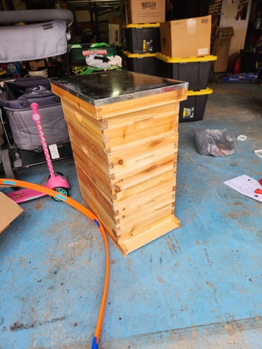 Customer photo review of BeeCastle Hives 10 Frame Wax Coat Complete Beehive Kit:2 Designed Deep Bee Boxes and 1 Super Medium Box,Includes Premium Wooden Frames and Beeswax-Plastic Foundation