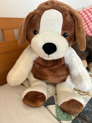 Customer photo review of Lotgenootje Hond 2kg