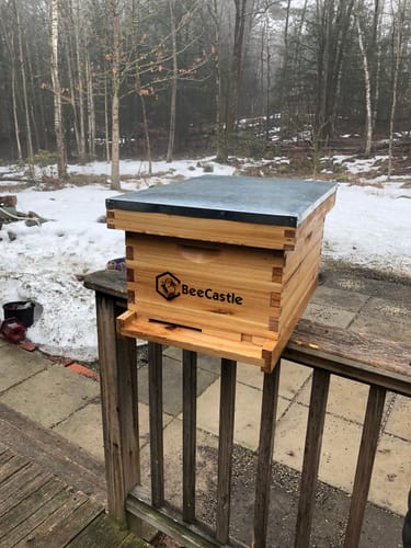 Customer photo review of BeeCastle Hives 10 Frame Wax Coat Complete Beehive Kit:2 Designed Deep Bee Boxes and 1 Super Medium Box,Includes Premium Wooden Frames and Beeswax-Plastic Foundation