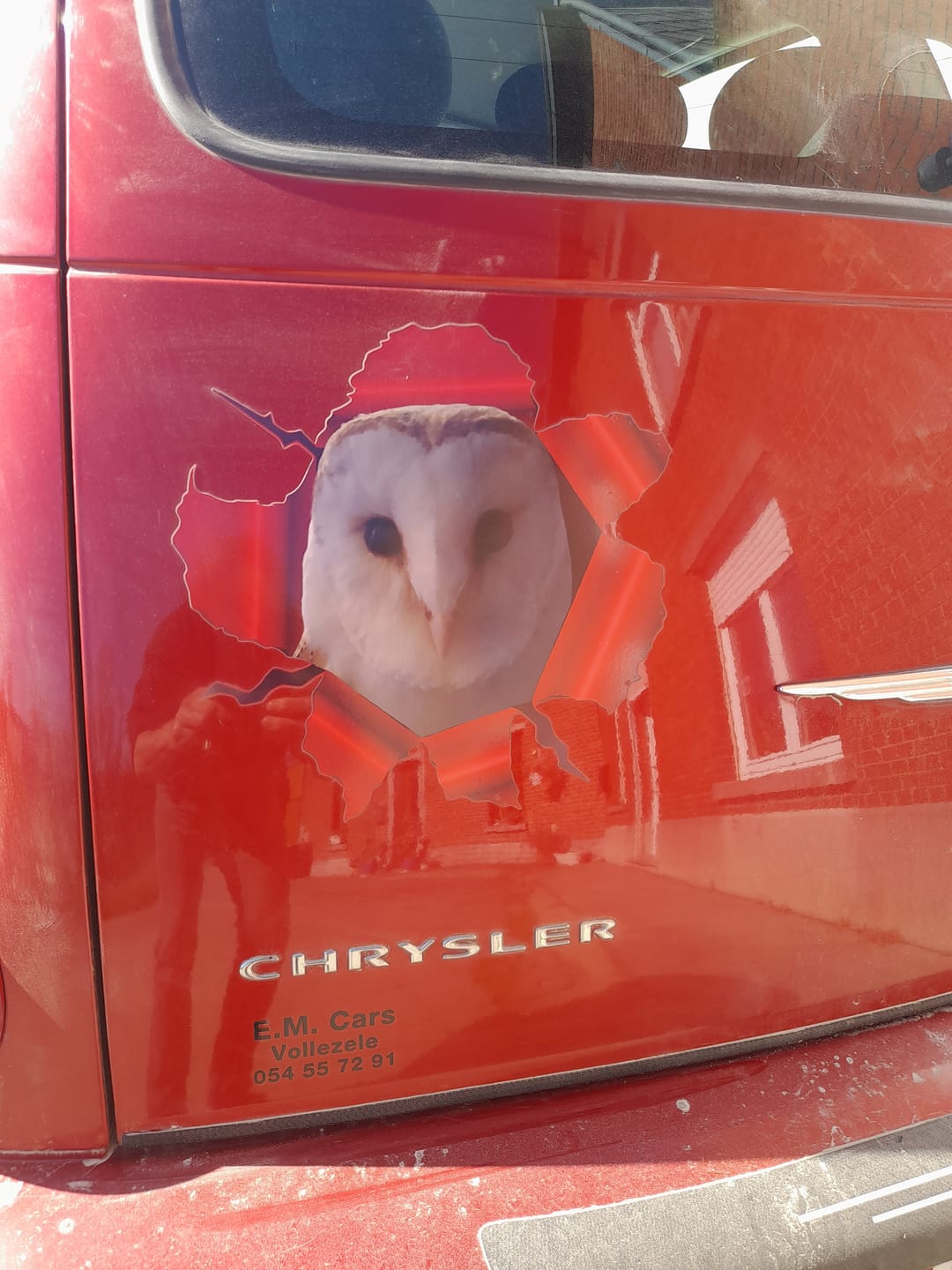 Customer photo review of Photo animal curieux - Autocollant pour voiture personnalisé