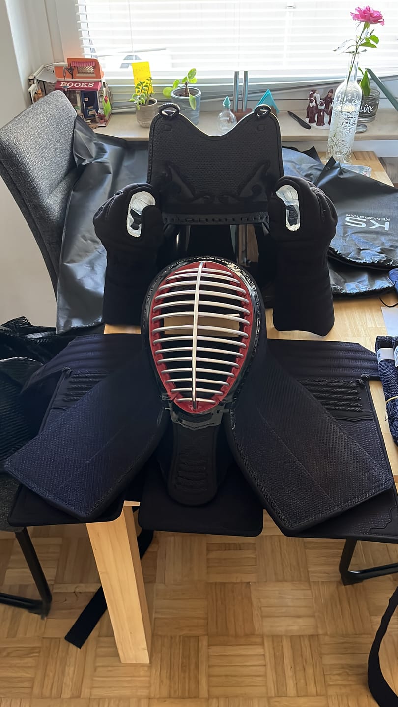 Customer photo review of *SPECIAL OFFER!* - 'VANGUARD MYRMIDON' Super Protective GUARD-STITCH KendoStar Bogu Set