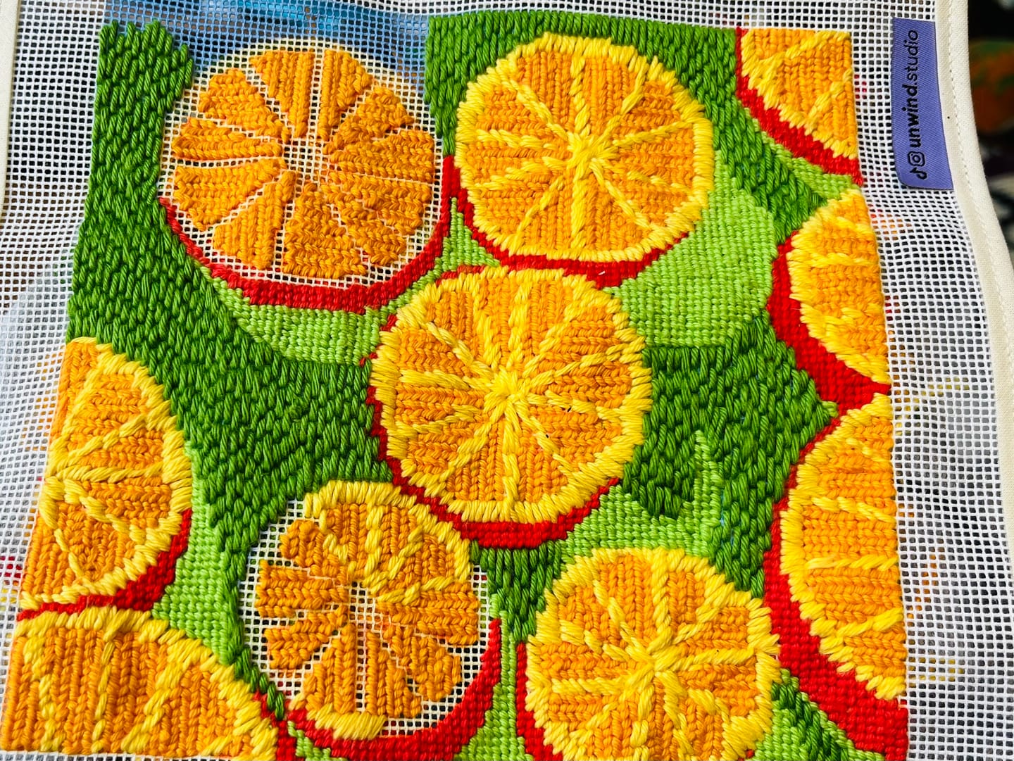 Customer photo review of Agrumes Needlepoint Kit