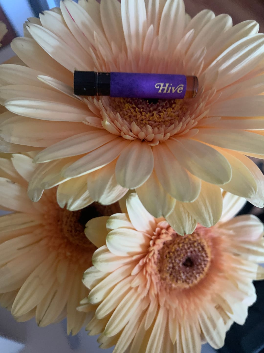 Customer photo review of Hive