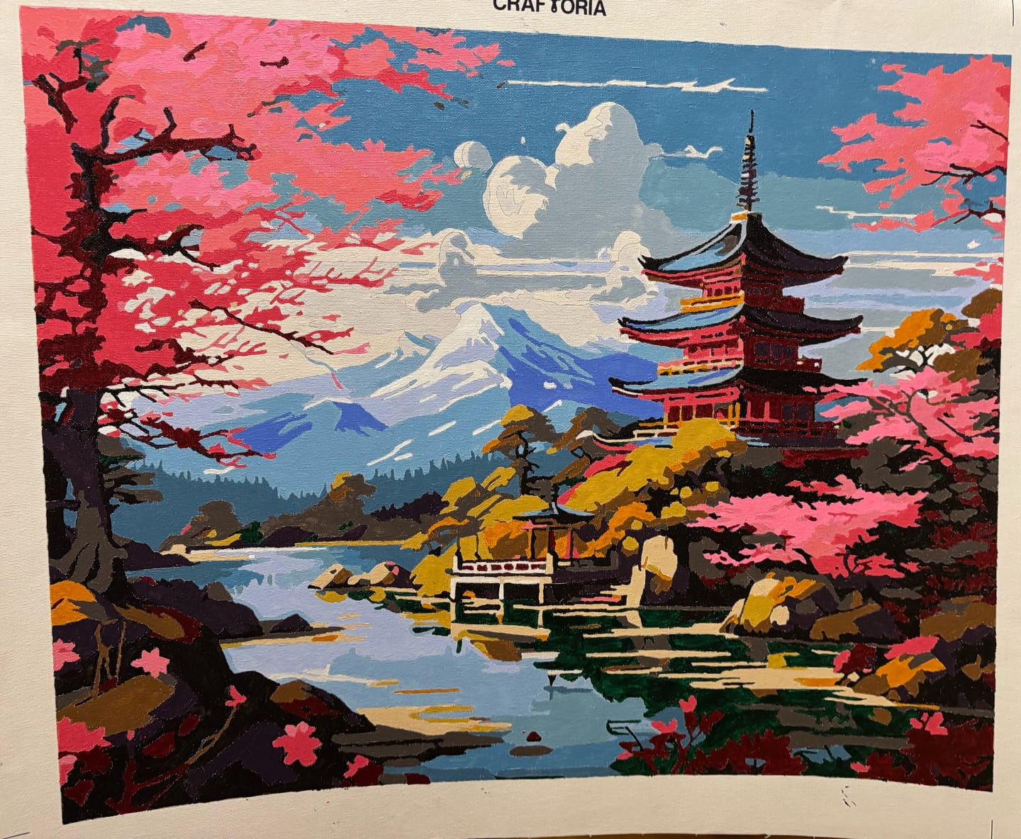 Customer photo review of Mt Fuji Temple